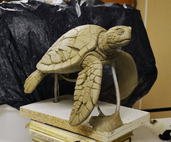 product_e_d_edge_turtle1