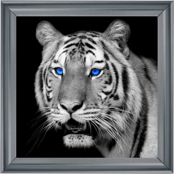 FTST195-ChromeVenice_40x40_580b72f3-8a32-4f53-a57c-2f89858acc5e