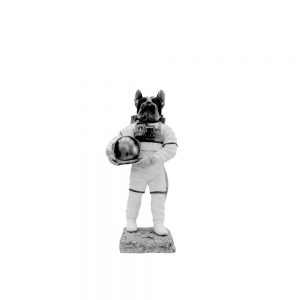 Space Dog